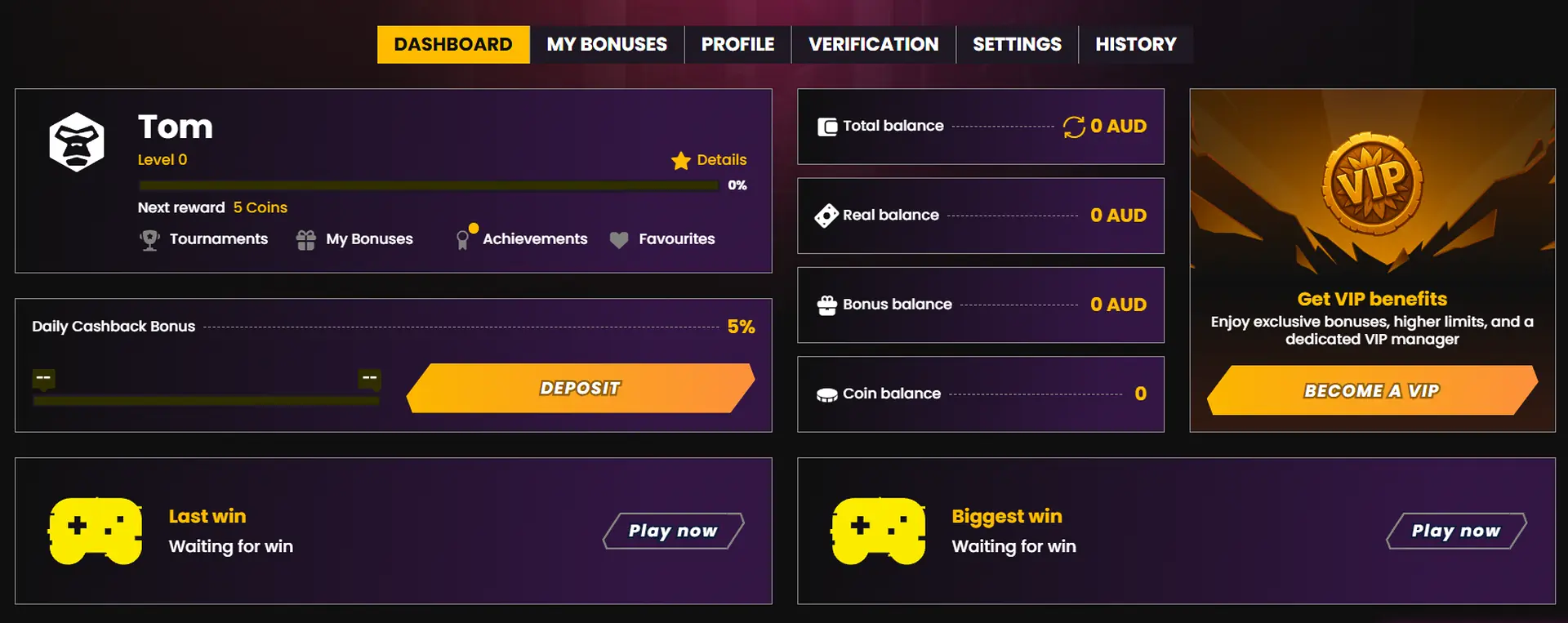 Account dashboard after login